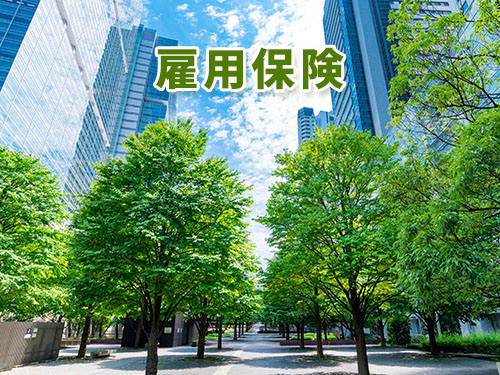 雇用保険の加入手続き 雇用保険の加入手続き